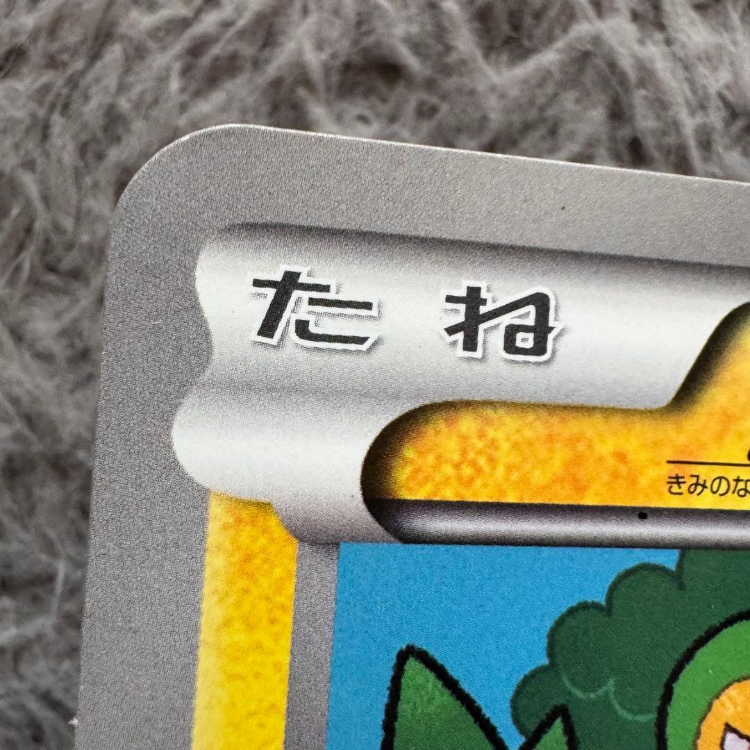 ポケモン　ジャンボカード　おたんじょうび　ピカチュウ プロモ
