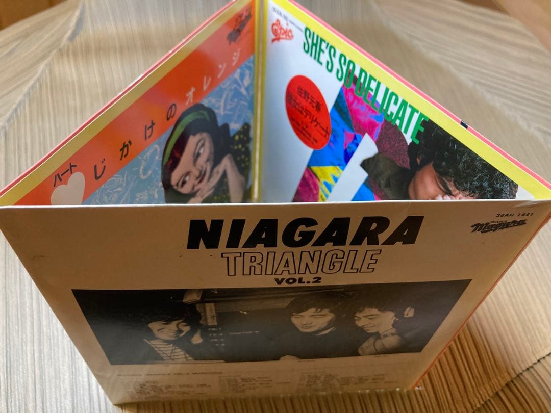 入手困難NIAGARA TRIANGLE Vol2プロモ用7インチレコード3枚組