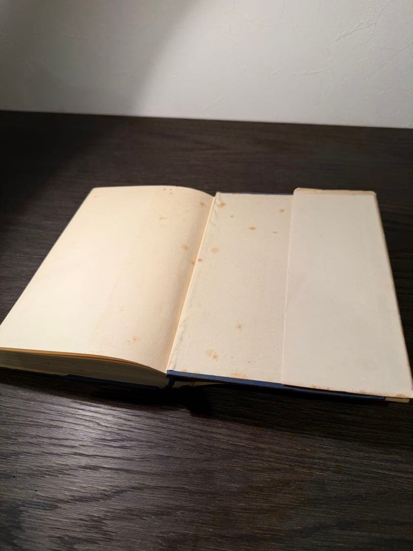 1952年 英国総選挙研究書 Butler 洋書 英国政治史
