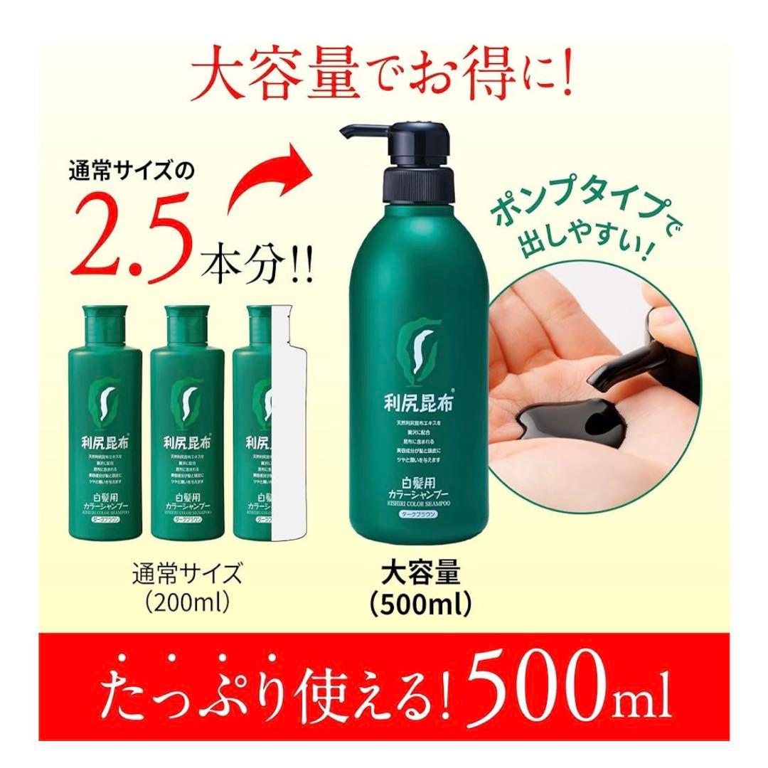 【大容量500ml】白髪用カラーシャンプーセット ミネラルイオンブラシ 利尻昆布