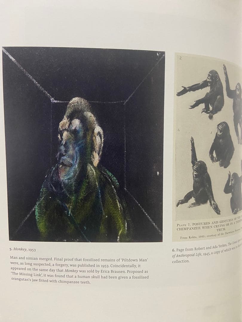 0000様 用Francis Bacon Retrieved
