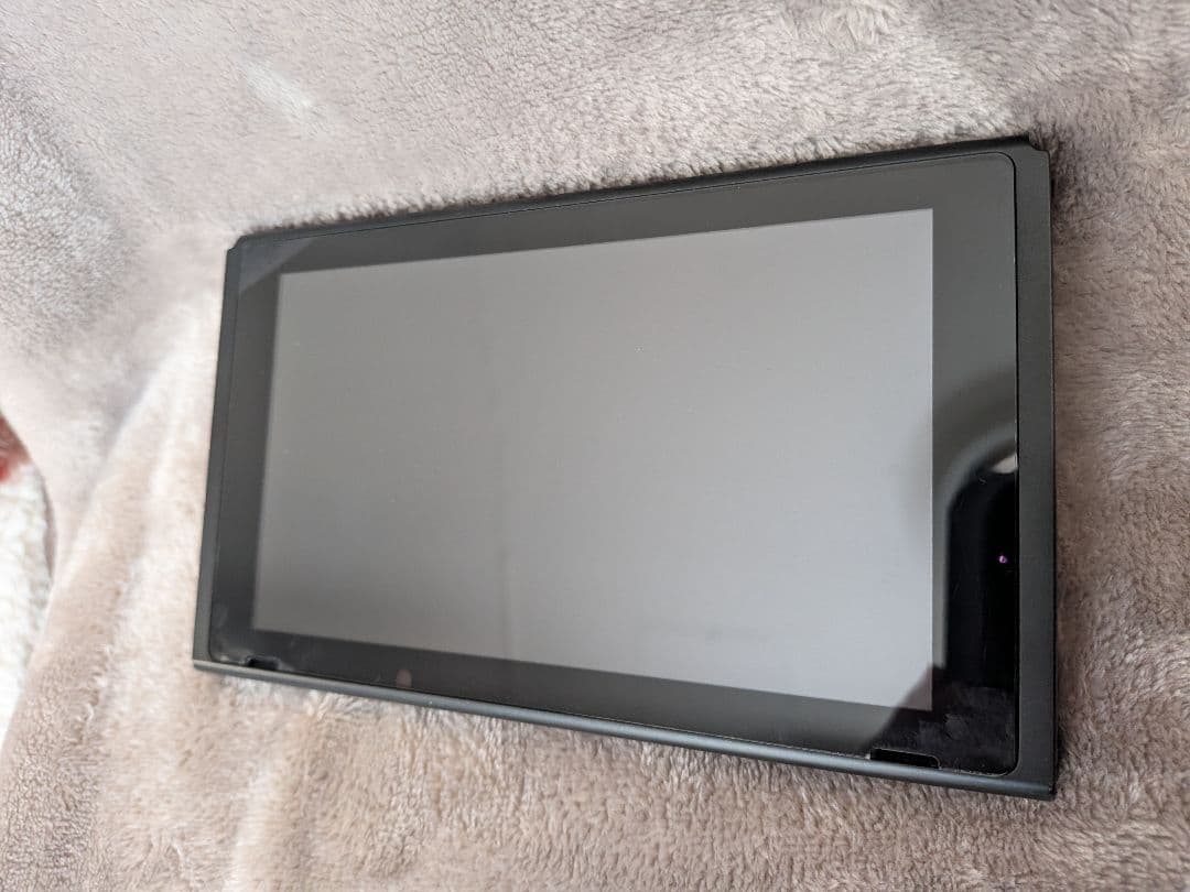 Nintendo Switch 本体 あつ森 付属品あり