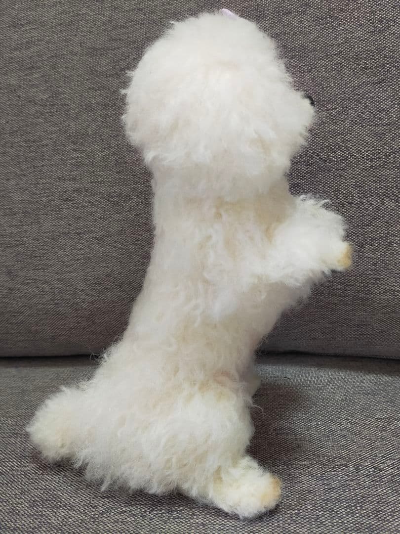 お値下げ。送料込み。トイプーちゃん。おねだり立ちポーズ。自立直立。舌チロ♡
