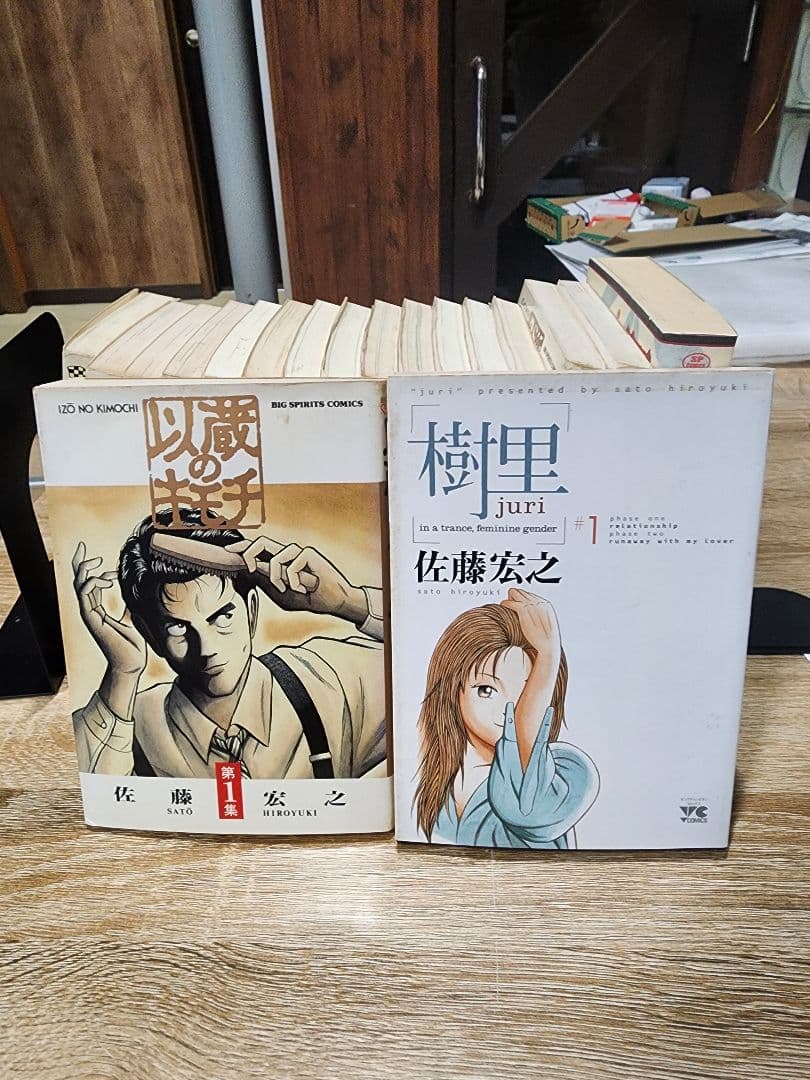 佐藤宏之セット。気分はグルービー。以蔵のキモチ。樹里。阿部一族。銀の月。計19冊