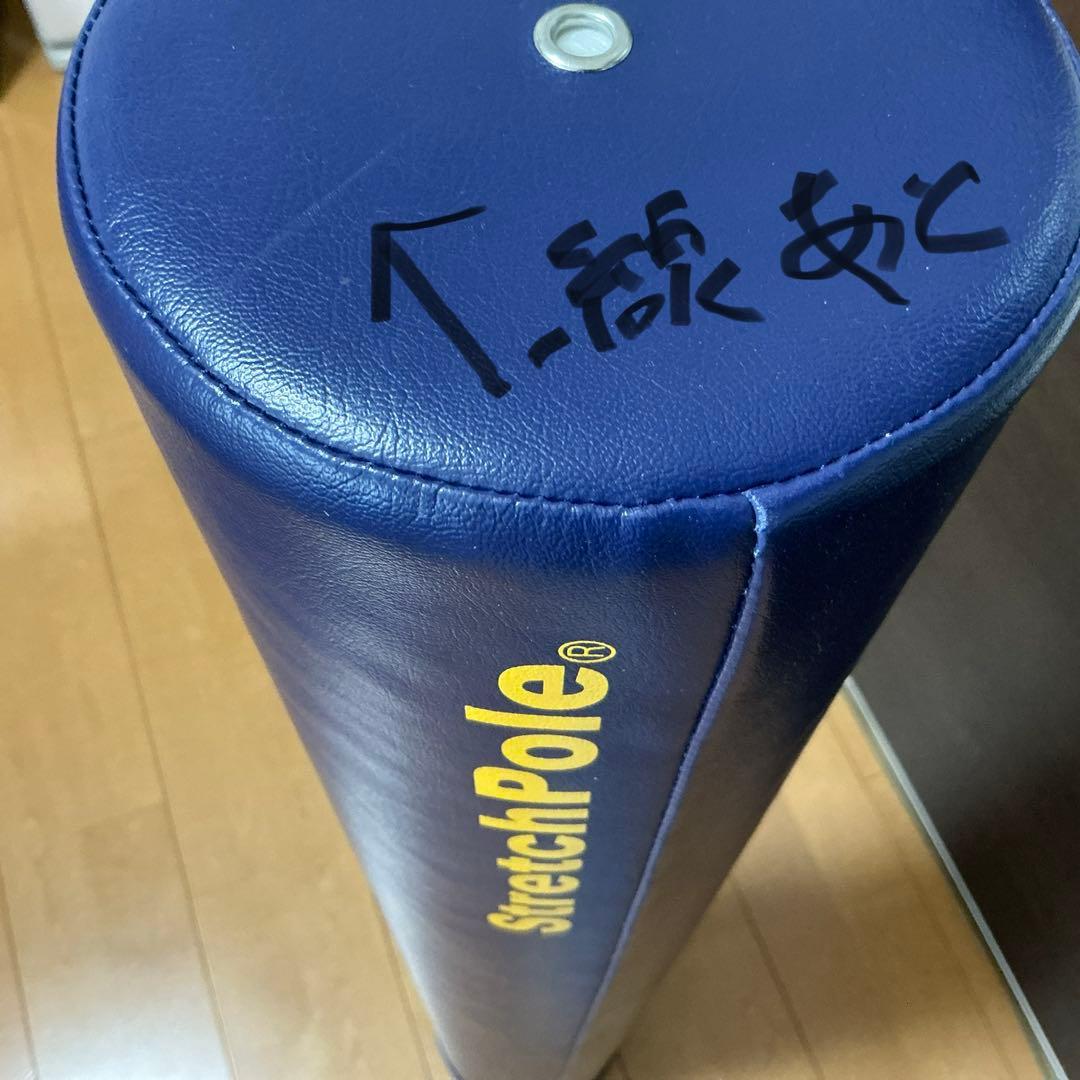 中古⭐︎ストレッチポール⭐︎LPN社⭐︎正規品⭐︎ネイビー