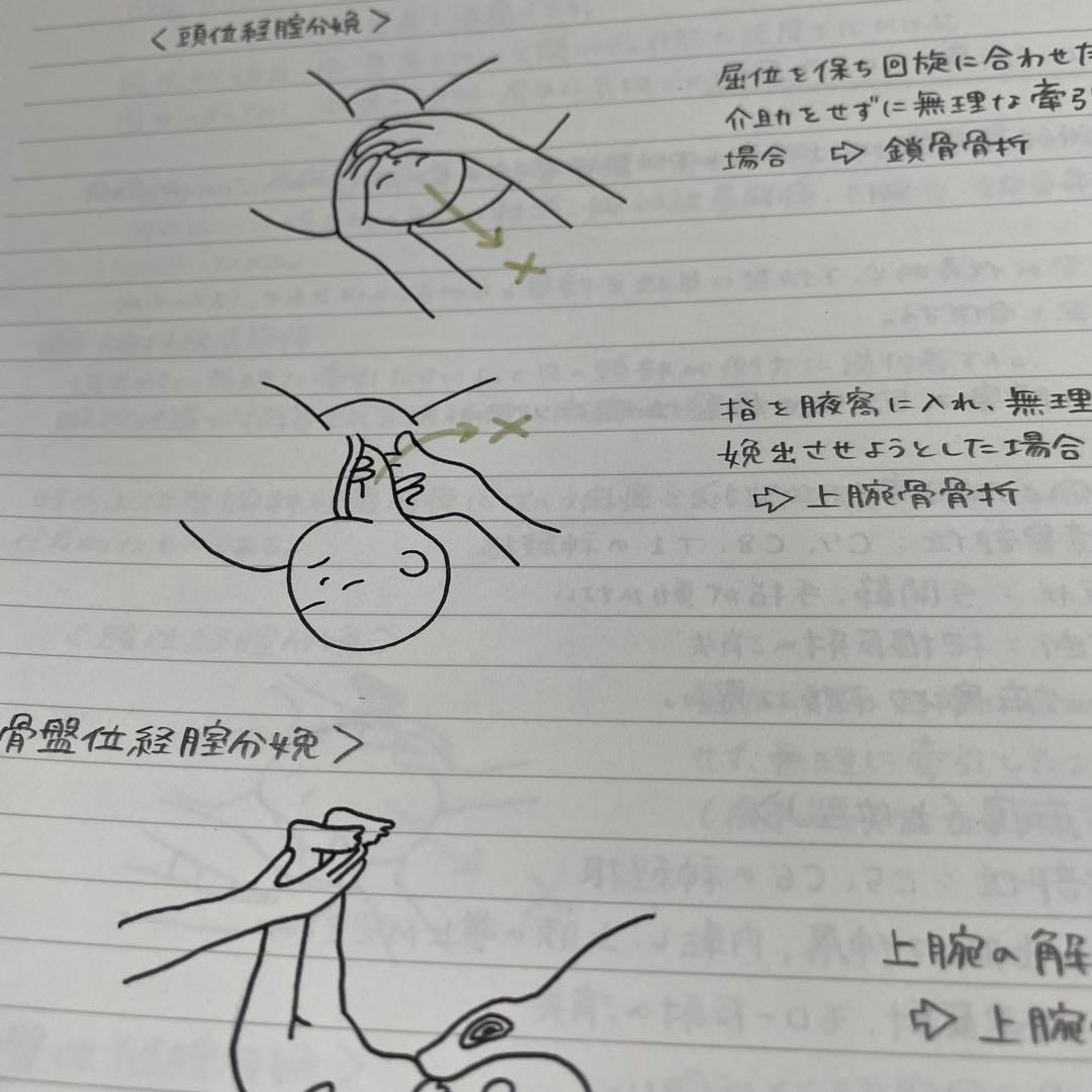 助産師学校セット　まとめノート　助産師国家試験