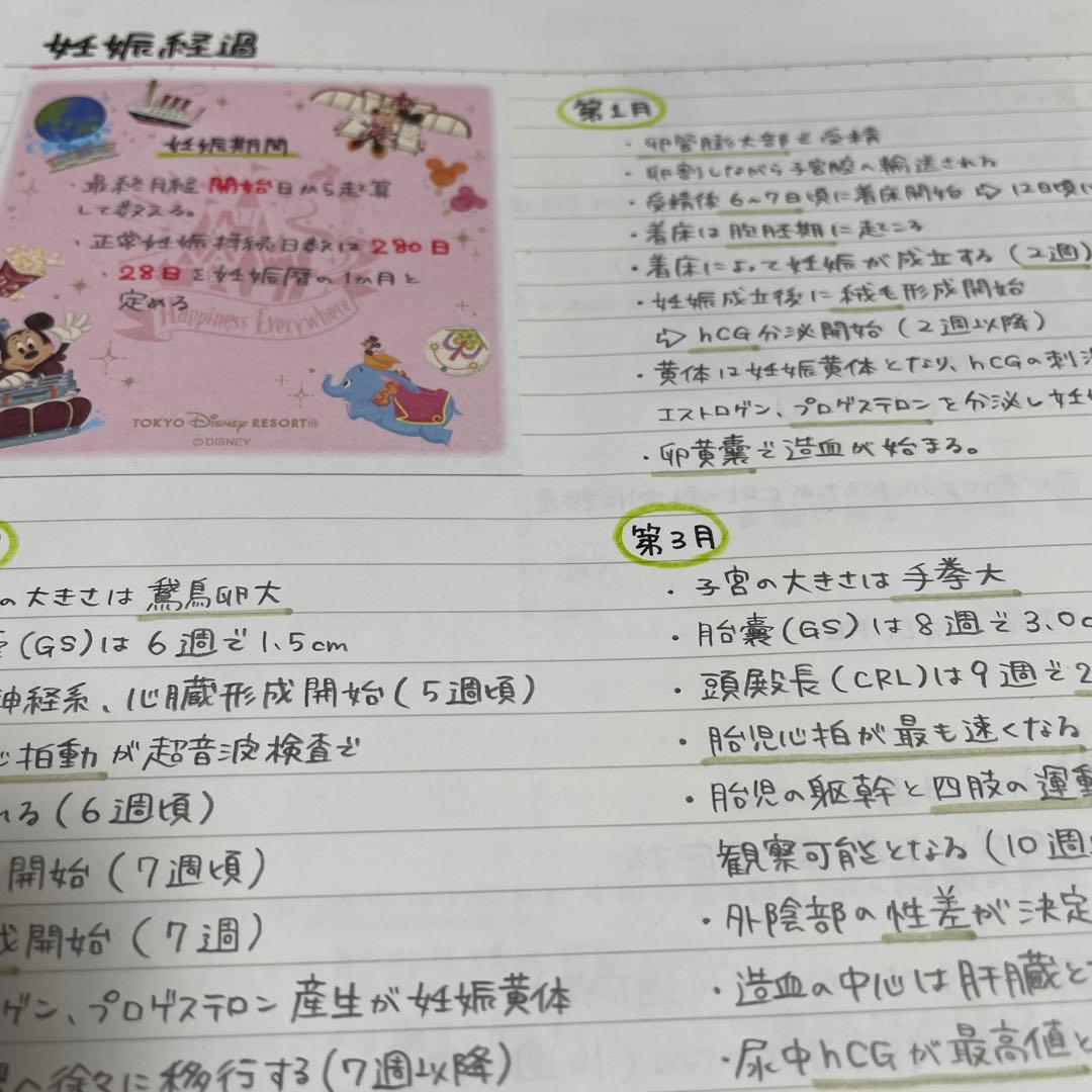 助産師学校セット　まとめノート　助産師国家試験
