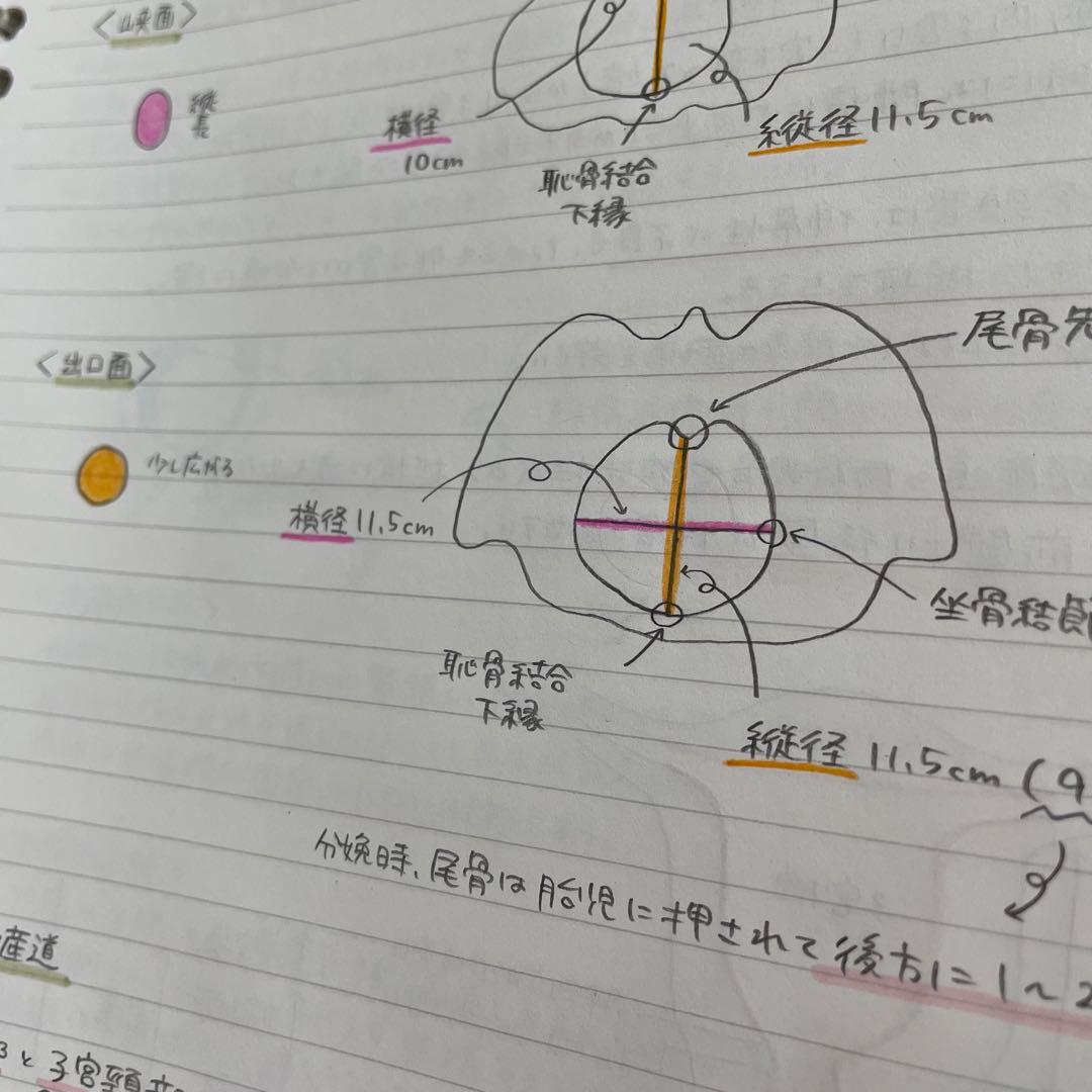 助産師学校セット　まとめノート　助産師国家試験