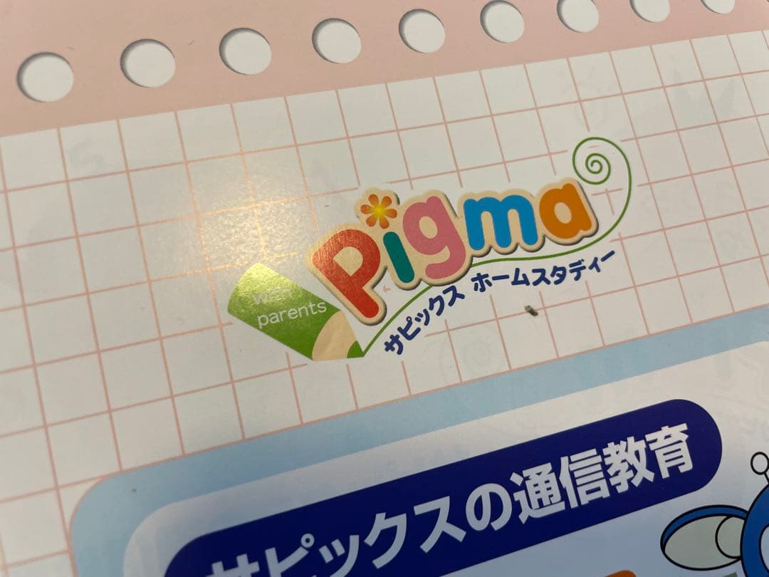 えり 【未記入】サピックス　ピグマ　2年生　通信
