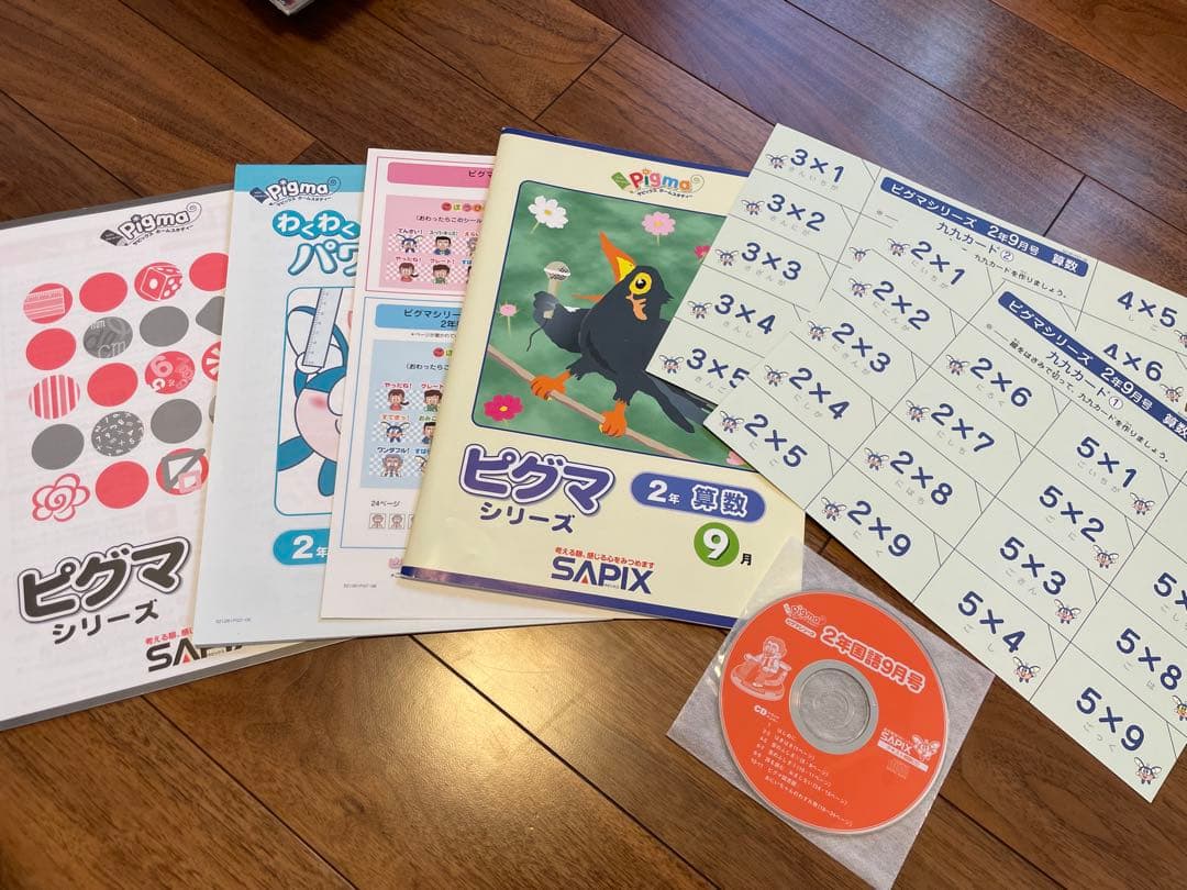 えり 【未記入】サピックス　ピグマ　2年生　通信