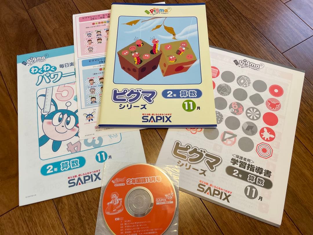 えり 【未記入】サピックス　ピグマ　2年生　通信