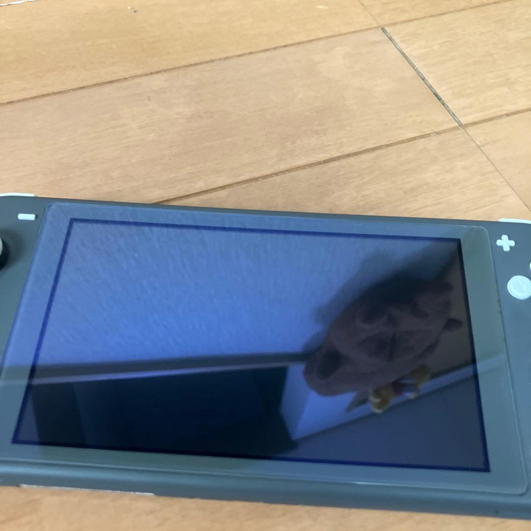 Nintendo Switch Lite グレイ/液晶画面フィルム＆充電器付き