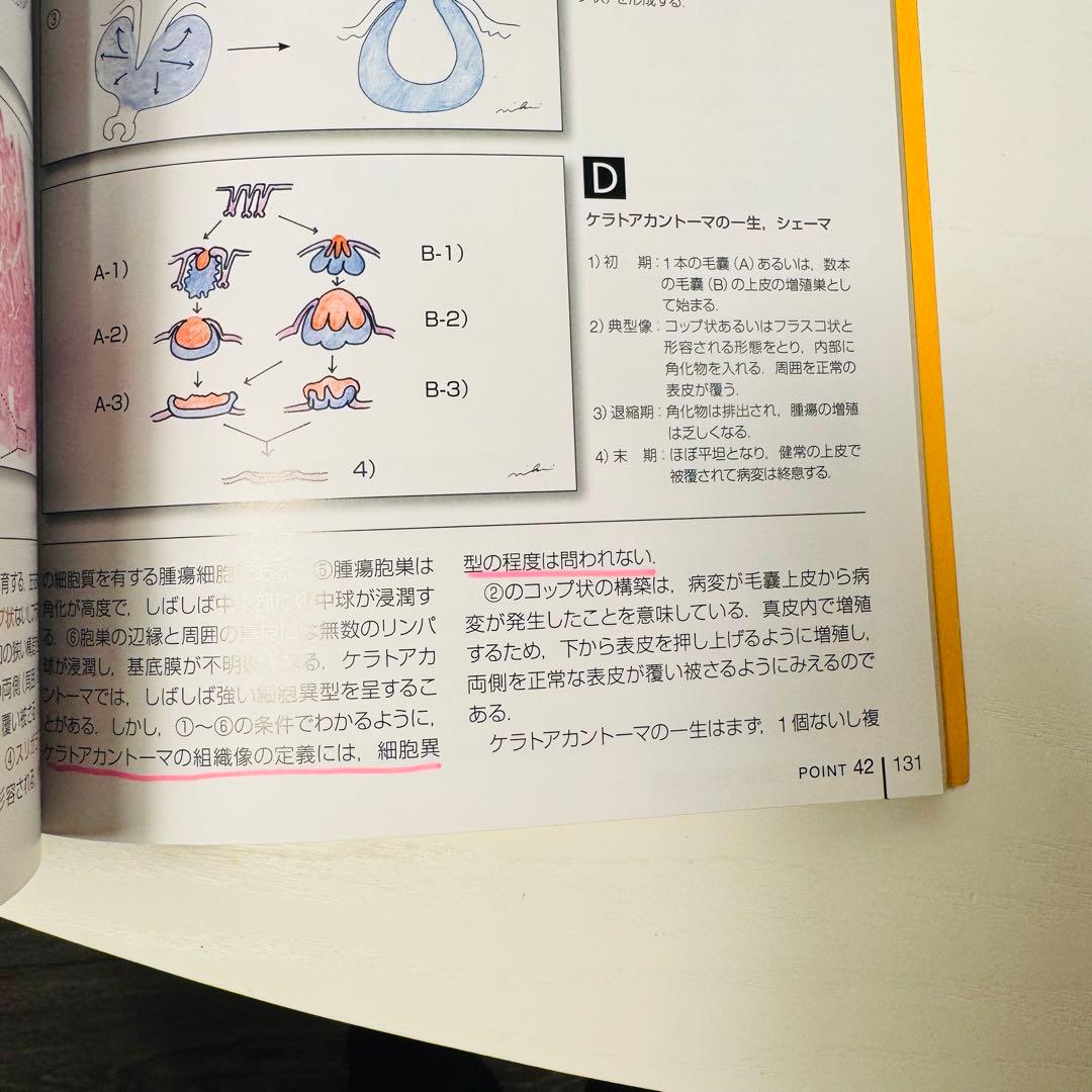 【裁断なし】みき先生の皮膚病理診断ABC 4冊セット 定価約38,000円