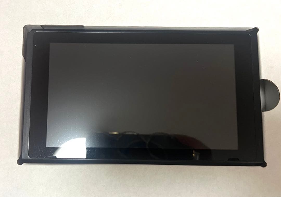 Nintendo Switch Makoto