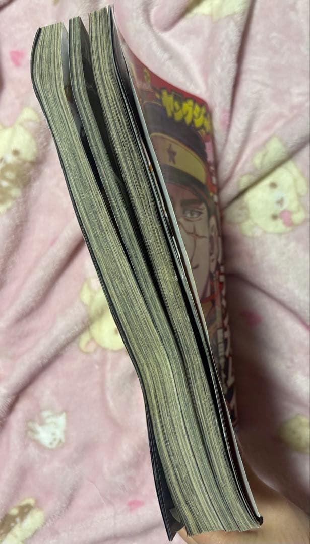 ゴールデンカムイ　漫画　最終回ヤンジャン　ファンブック　セット