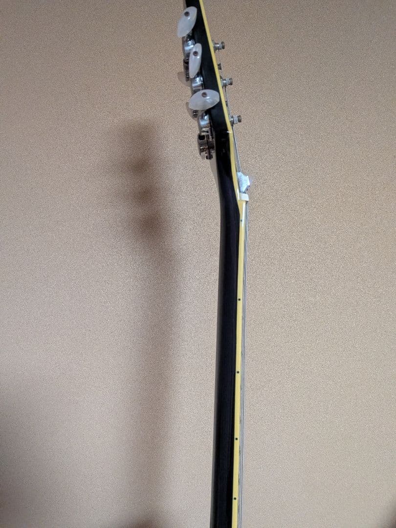 Aria Pro II PE-DLX Kahler搭載2008年レスポールタイプ