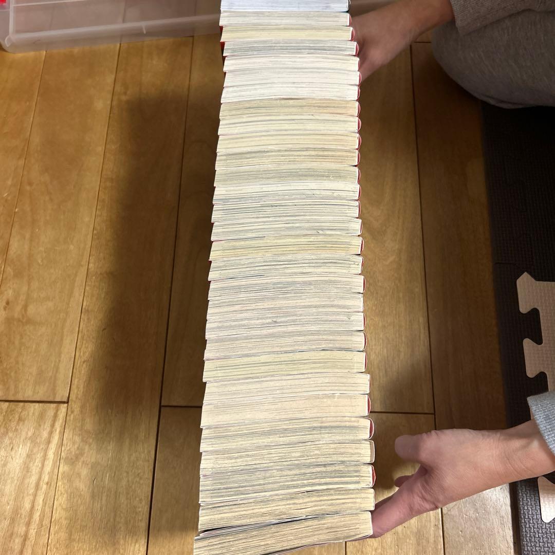 天は赤い河のほとり 全巻セット（1〜28） おまけつき（ファンブック）
