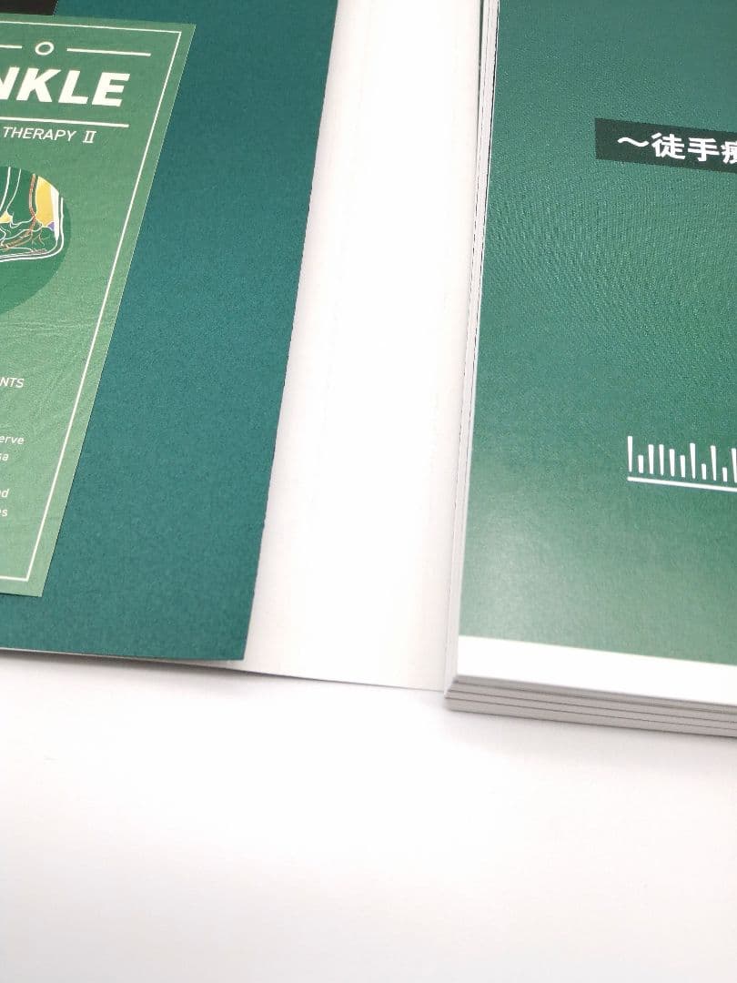 園部俊晴の臨床 『徒手療法ガイドブックⅡ』 膝関節・下腿・足関節・足部編　裁断済