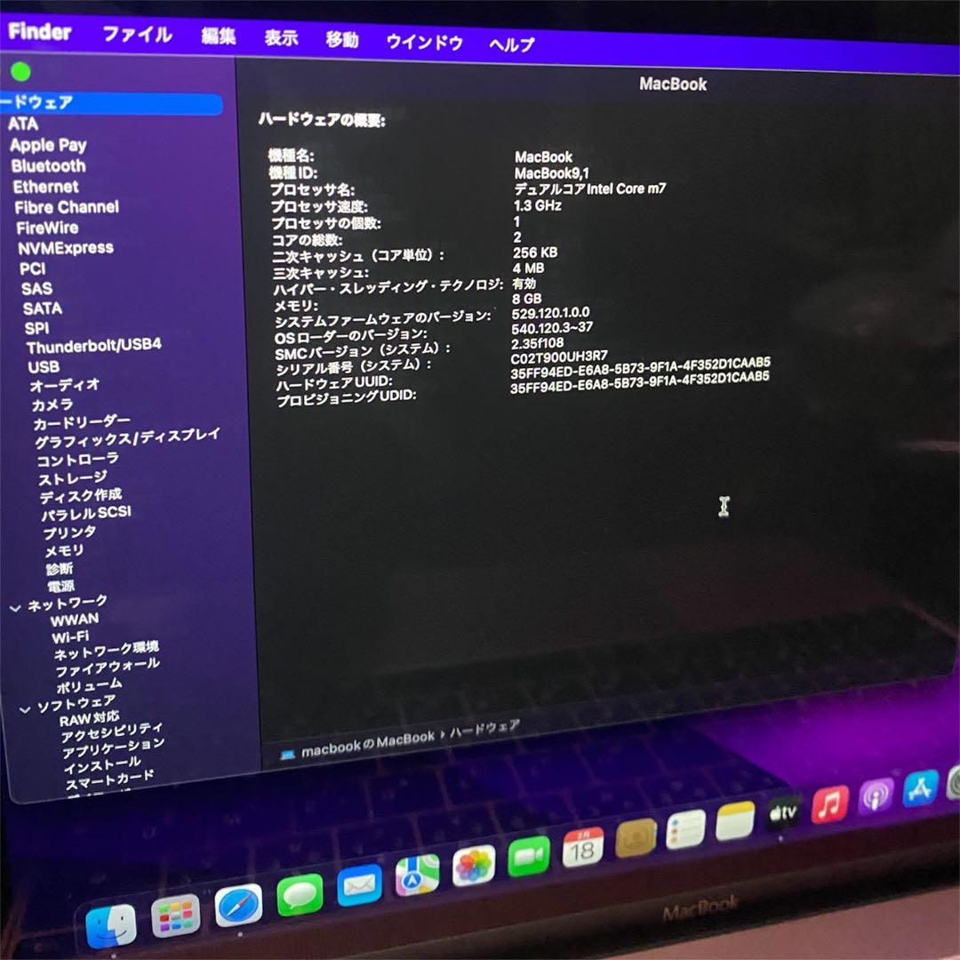 【美品】サンディスクSSD1T付MacBook 2017 i5 ローズゴールド
