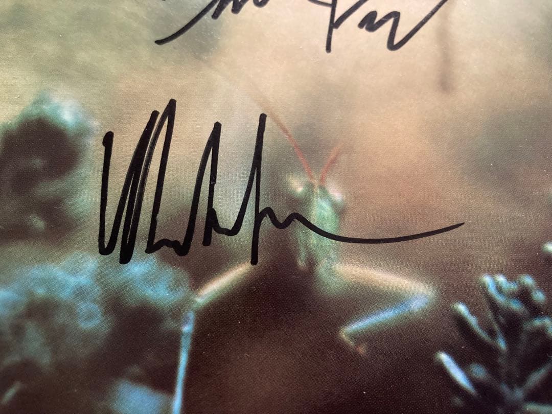 レアSteely Dan Katy LiedサインCD スティーリー・ダン
