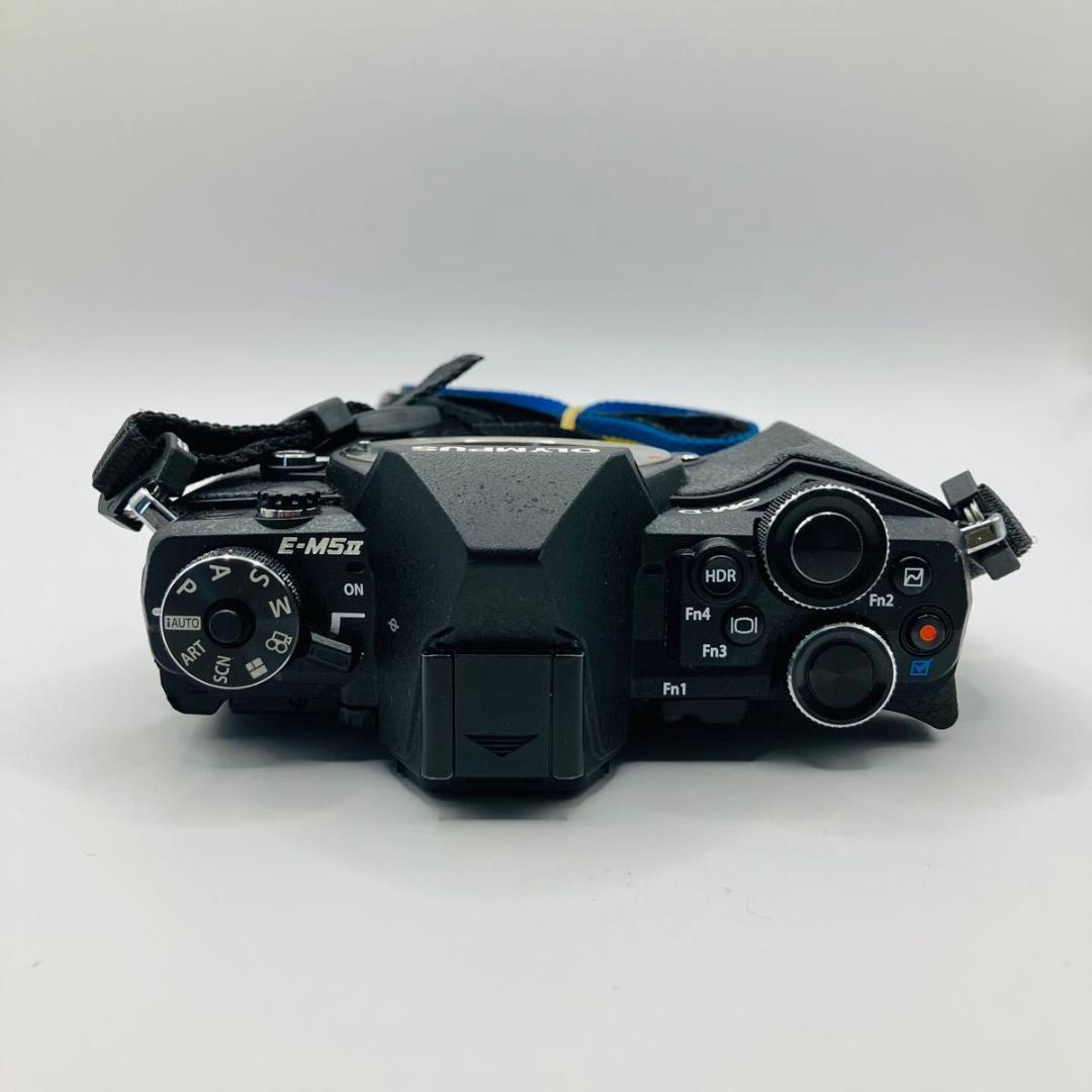 OLYMPUS OM-D E-M5II ブラック ボディ ジャンク バッテリー付
