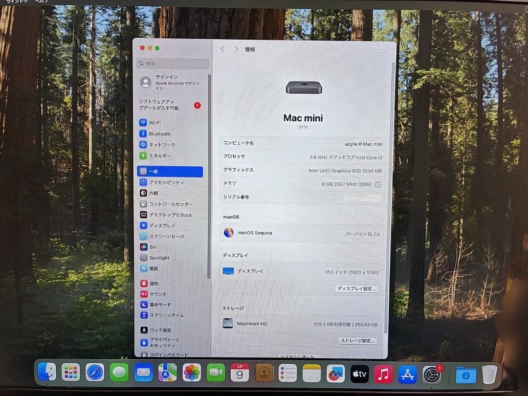 Apple Mac mini 2018（美品）