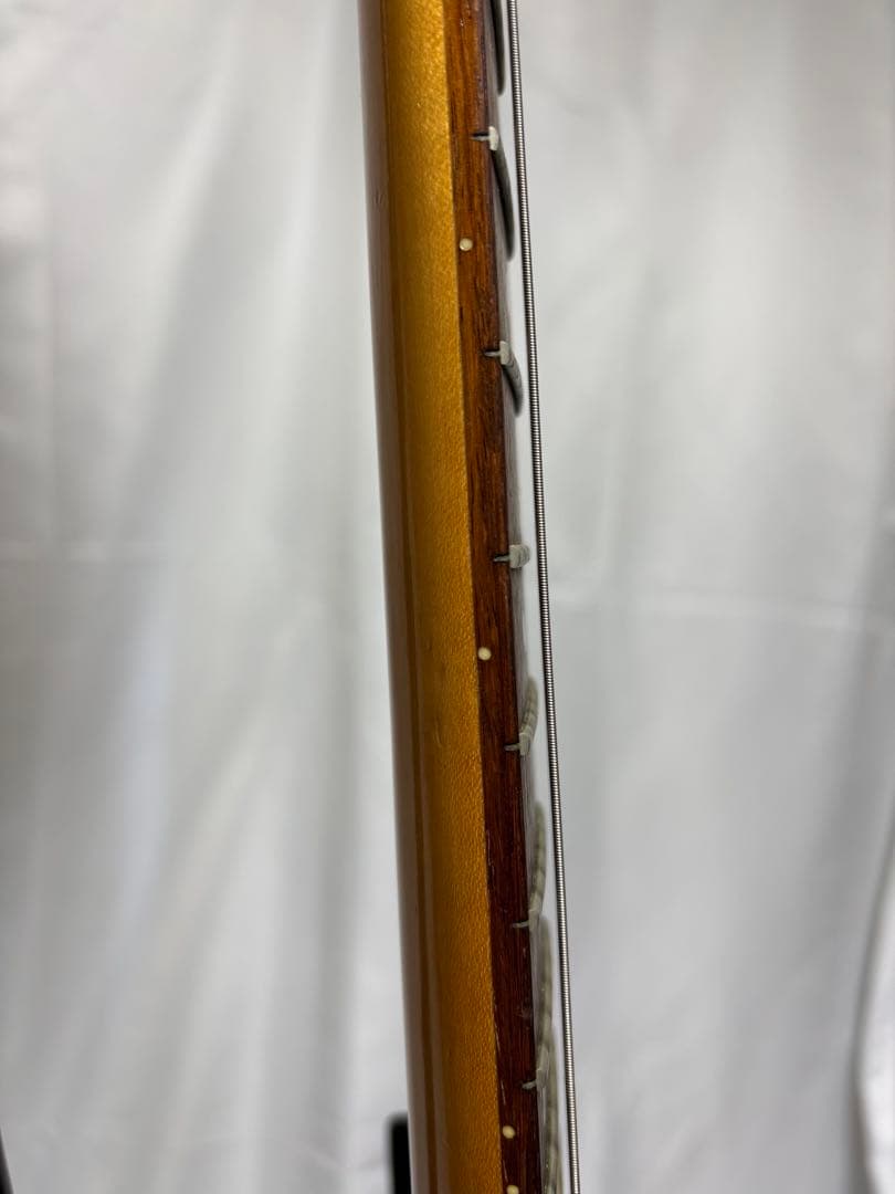 darty 　Ibanez アイバニーズ　RG SERIES フジゲン