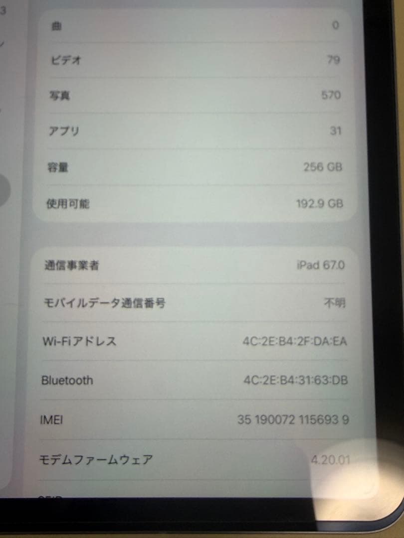 極上iPad Pro11インチ 第4世代256GB wifi+cellular