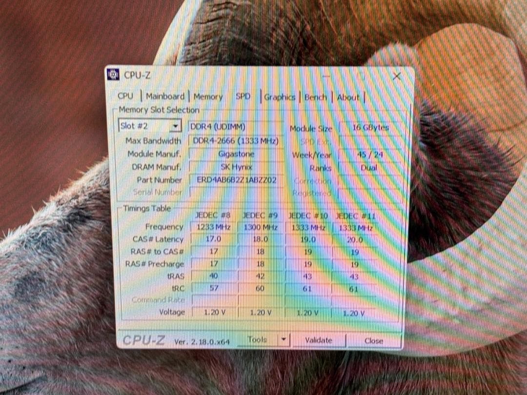 Gigastone DDR4-2666 16GB×2枚 計32GB