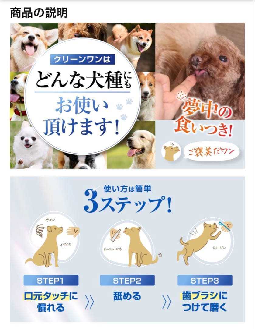CLEAN WAN デンタルケアジェル 15g 6本セット