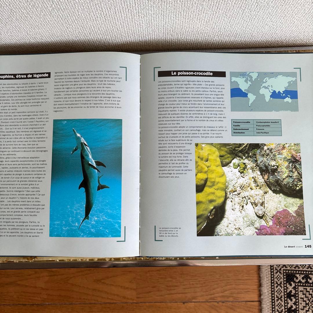 洋書 Jean-Michel Cousteau OCEANS