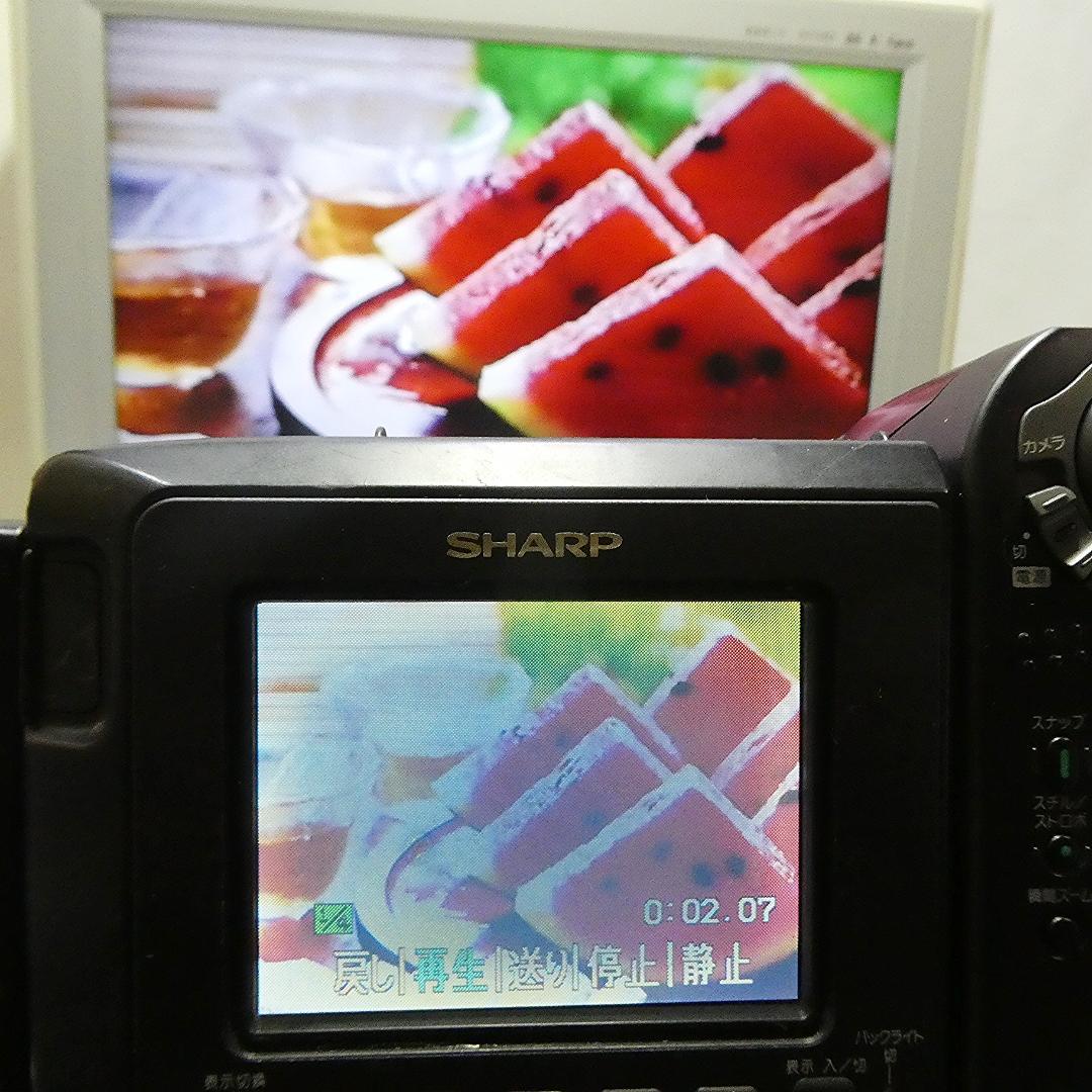 動作良好VideoHi8 シャープVL-HL100 8ミリビデオカメラDVD化に