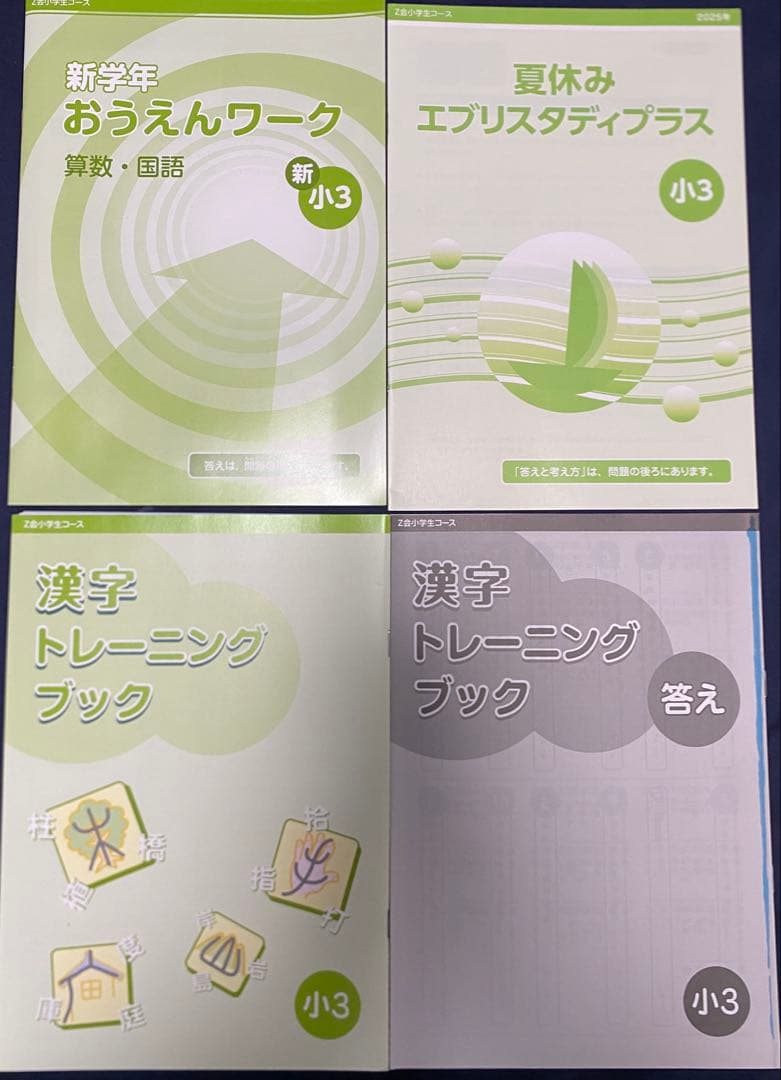 最新版 Z会 小学3年 2025年度 1年分 国算理社英 思考表現力 未記入