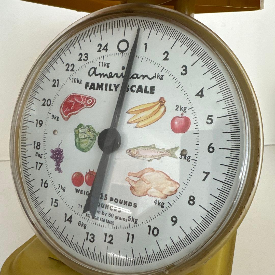 American Family Scale イエロー