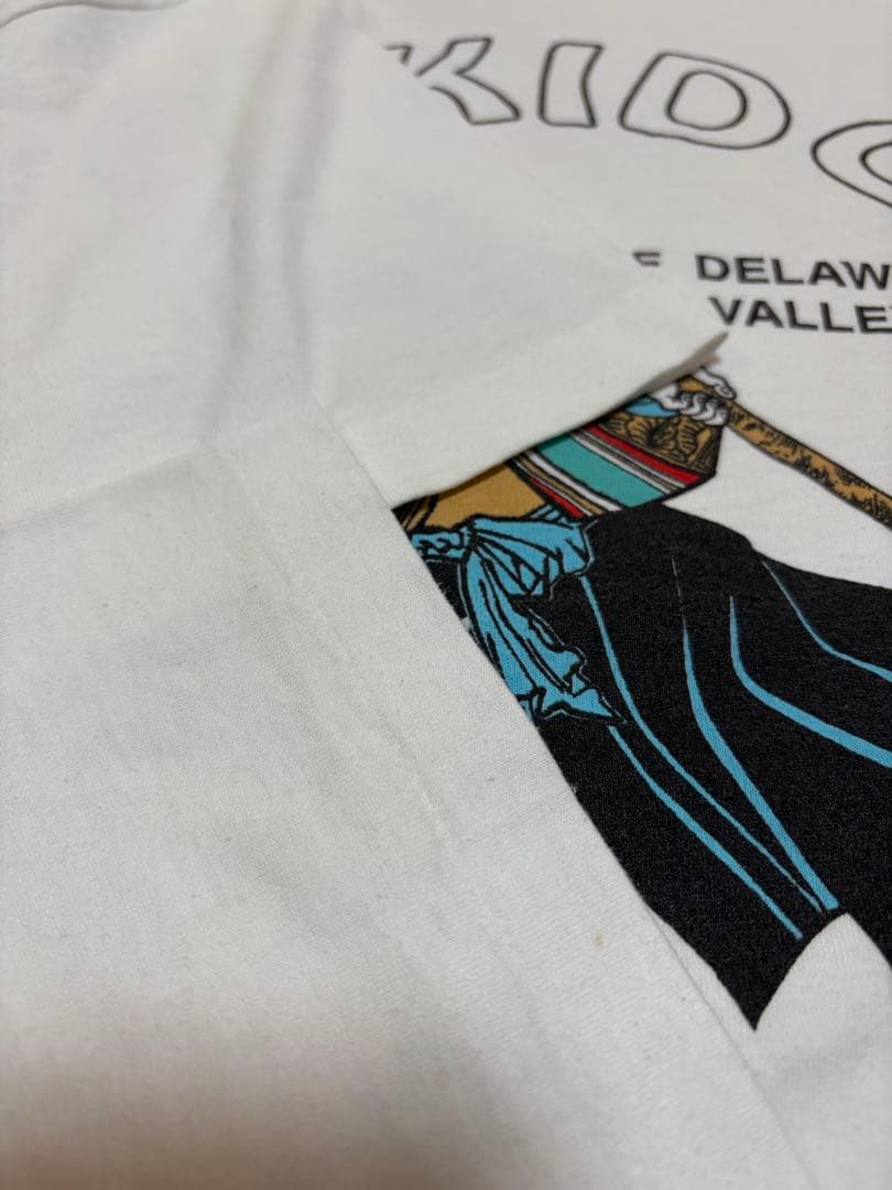 90s Hanes Aikido Tシャツ　USA製　浮世絵　souvenir