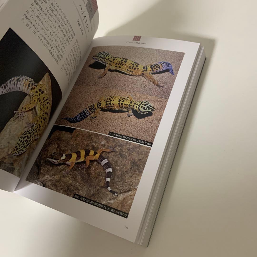 ヒョウモントカゲモドキ品種図鑑 = LEOPARD GECKO Morph B…