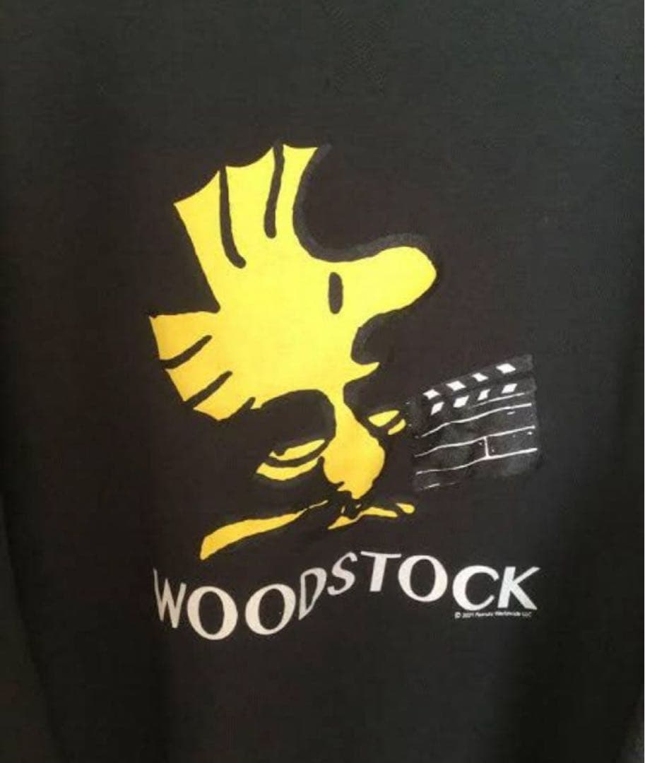 週末特価DAIRIKU×PEANUTSWOODSTOCK SilkTrimTee