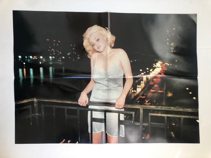 Visionaire 31 BLUE ポスター Terry Richardson