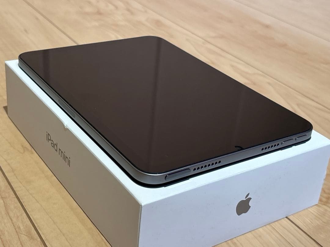 Apple iPad mini7 A17 pro 128GB スペースグレイ