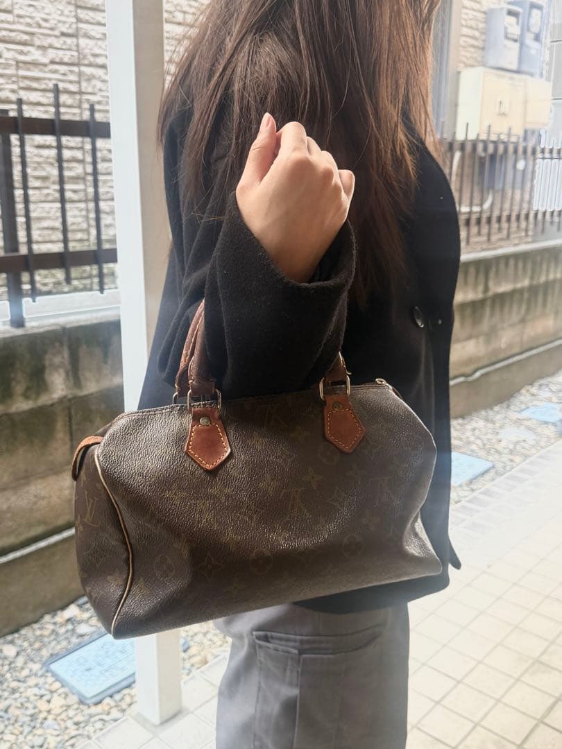Louis Vuitton モノグラムキャンバスのブラウンハンドバッグ