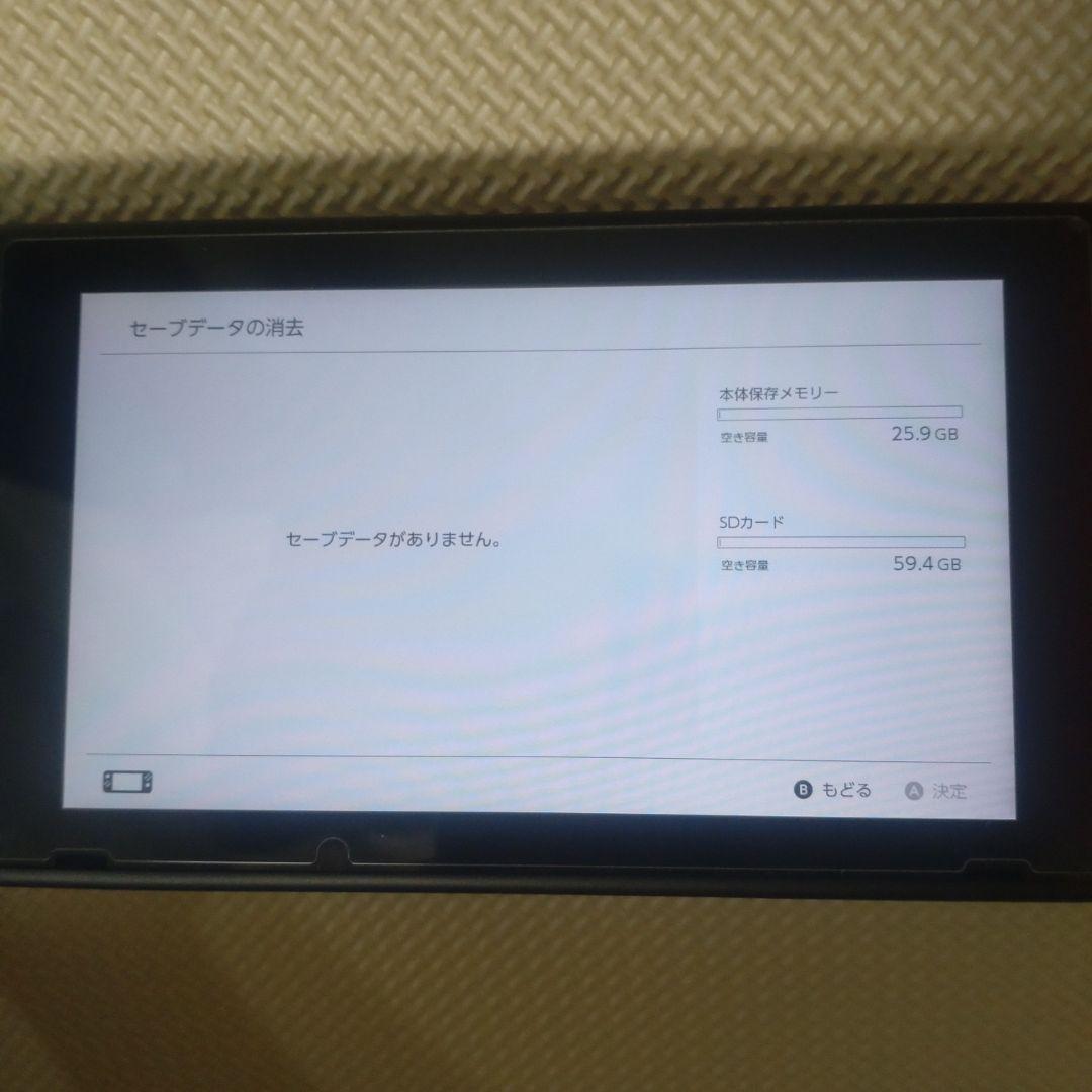 Nintendo Switch 本体 ＋ホリコン