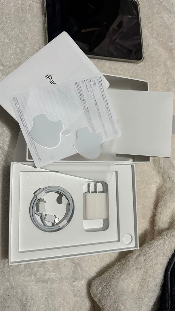 【完品・美品】iPad mini 6 64GB バッテリー90% Wi-Fi