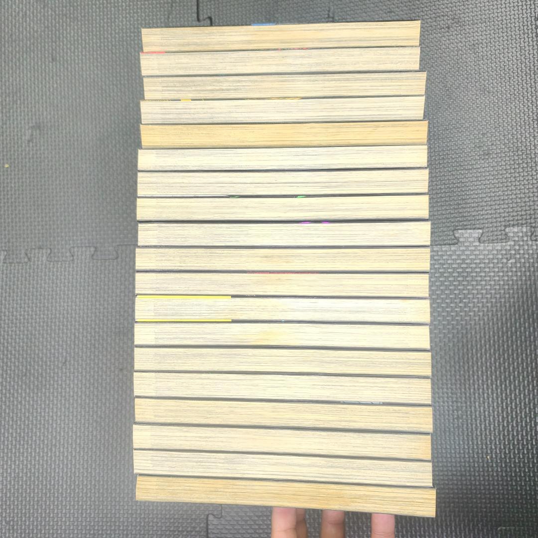 荒くれナイト　黒い残響完結編　19冊セット