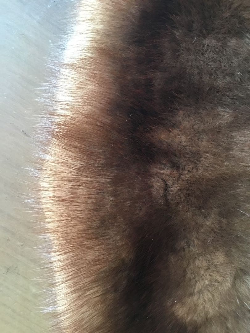 SOBOL ロシアンセーブル ファーマフラー　美品