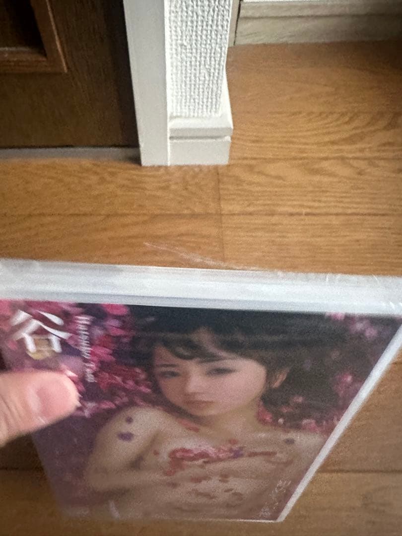 アイドルDVD　谷一歩 初めての記憶 DVD 見本品　新品