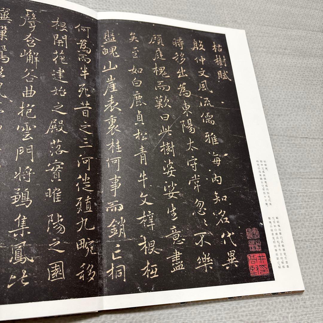 y*n様 原色法帖選21 褚遂良　枯樹賦　哀冊　二玄社　解説付き