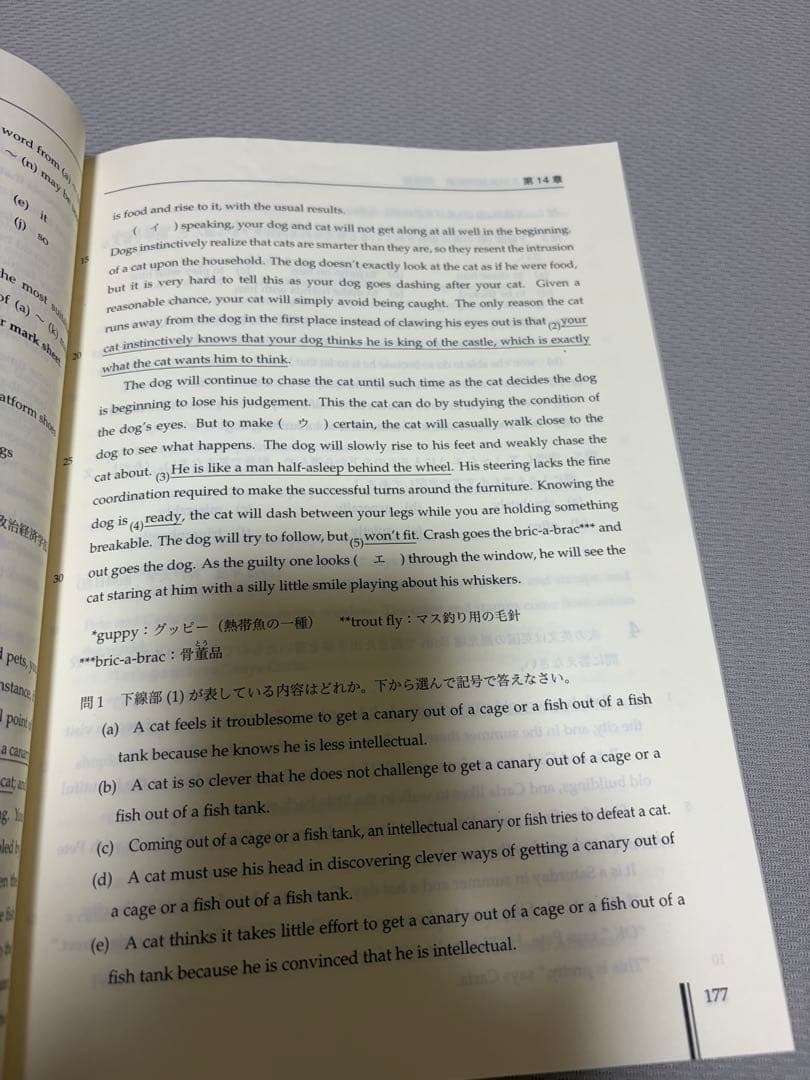 鉄緑会　高3英語　入試英語問題集　解答付き