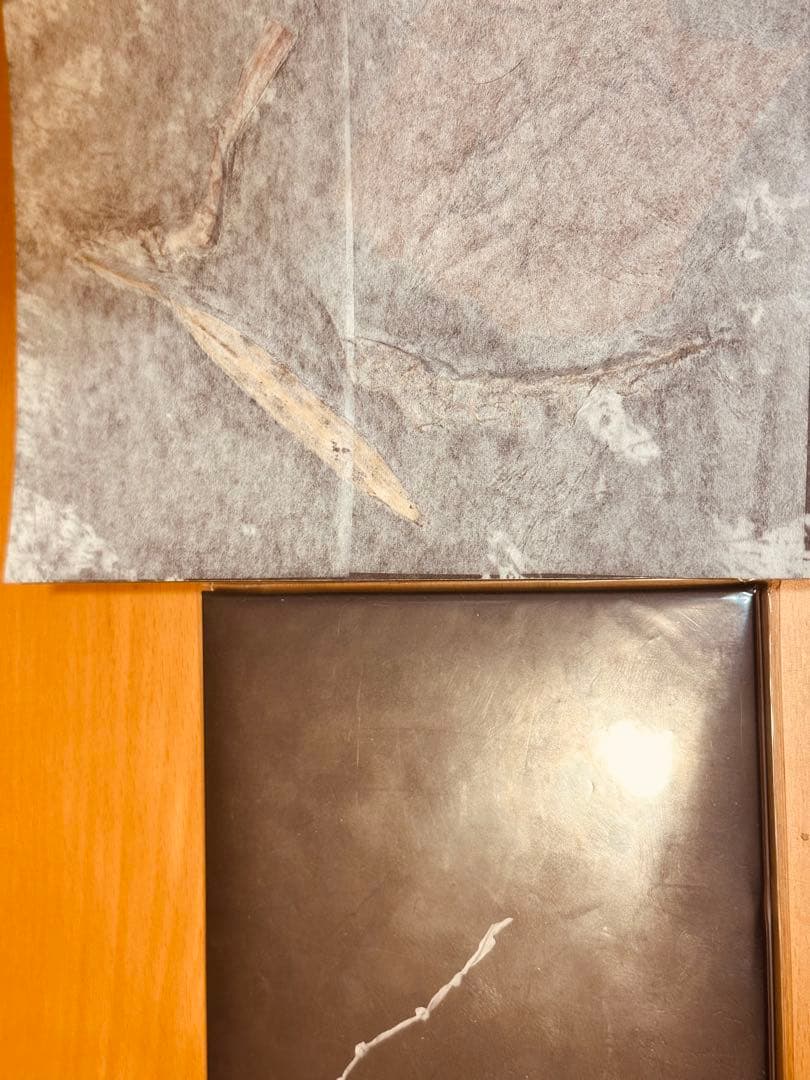 志人 心眼銀河 自主制作盤 受注制作盤 CD 書契　手紙二枚