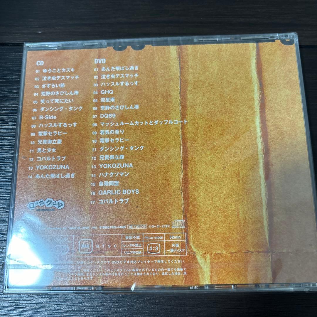 廃盤 (CD)実録LIVE2006-2007(DVD付)／GARLIC BOYS