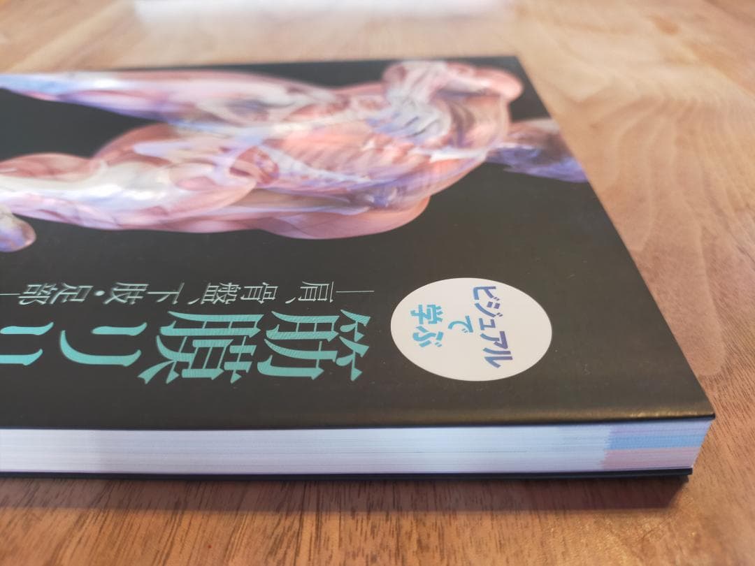 美品　ビジュアルで学ぶ 筋膜リリーステクニックVol.1+Vol.2　二冊
